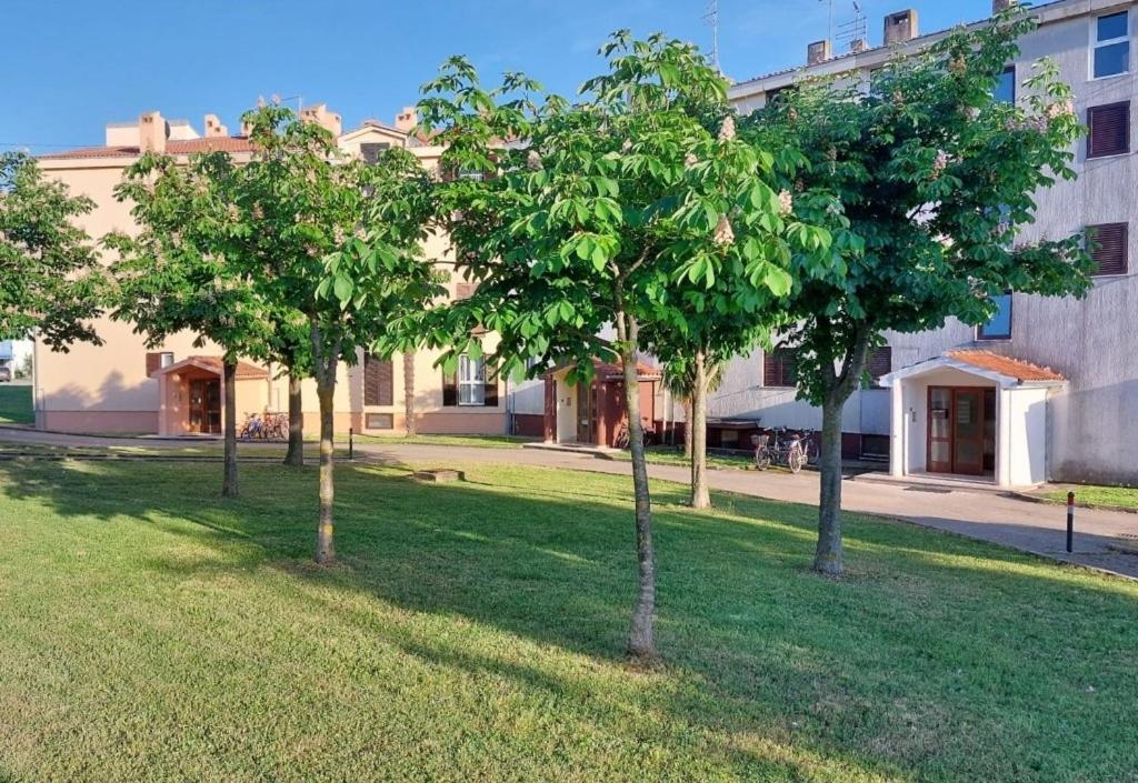 Stefan 1 Apartment Umag Exterior foto